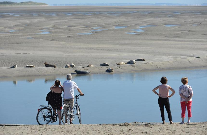 Hamac - Vue Mer - 100M Plage Berck Esterno foto